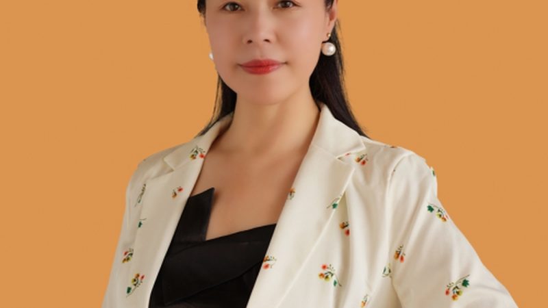 VI设计素材分类解析：高清素材的奥秘