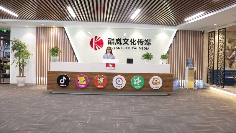 选择标准：资质与实力