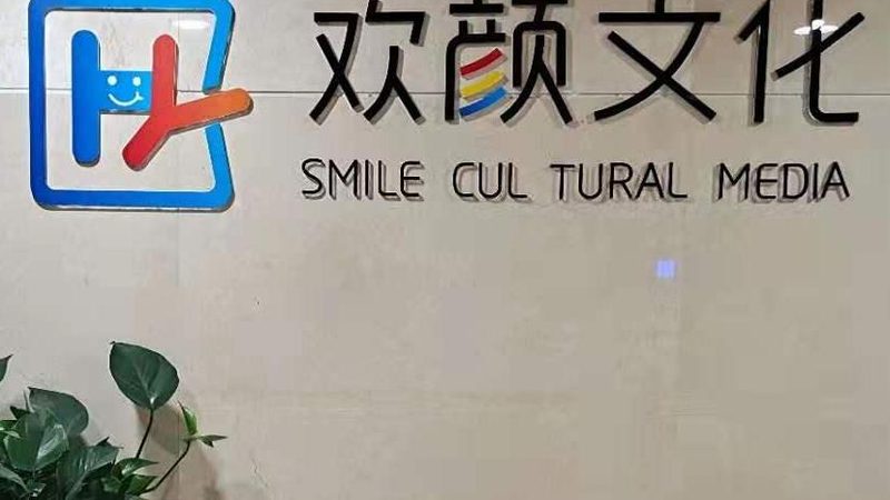女声广告配音价格揭秘：影响因素与选择指南**
